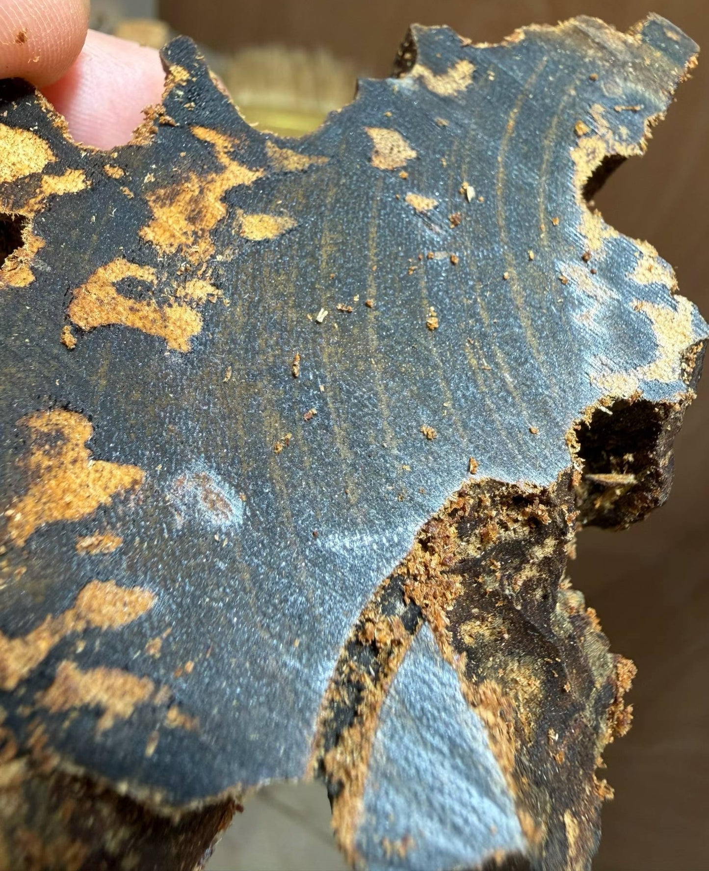Agarwood Incense - Sinking TARAKAN Kynam Version (6% Kynam)