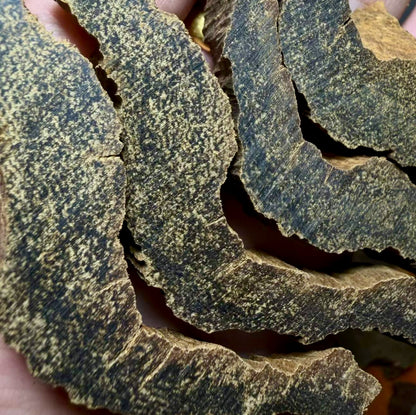 Processed Agarwood Incense - Processed Sinking Brunei