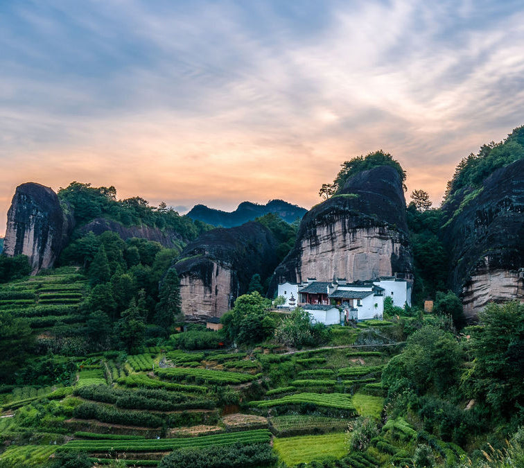 Attar & Parfum - Wuyi Fantasy