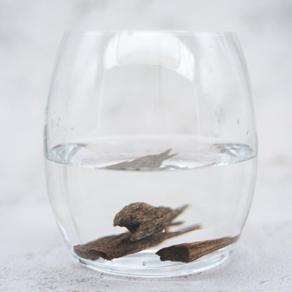 Agarwood - Sinking Brunei Whole Pieces
