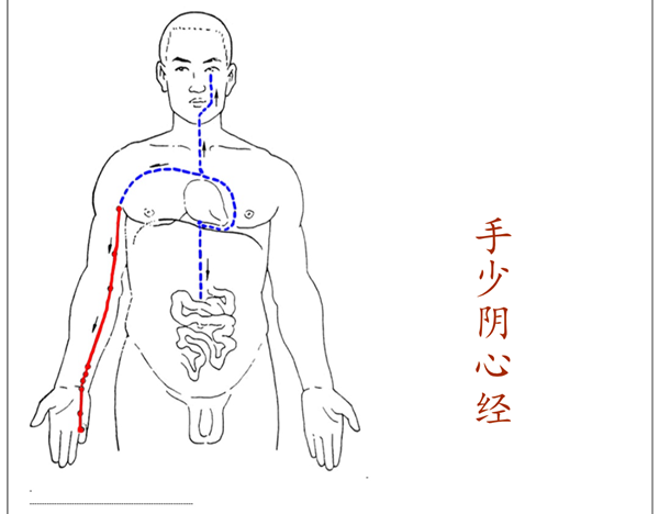 TCM Herbal Incense - Ginseng Heart Incense