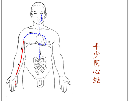 TCM Herbal Incense - Ginseng Heart Incense
