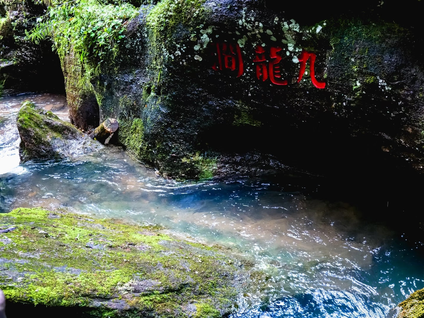 Agarwood Cliff Tea - Nine Dragons (九龍窠)